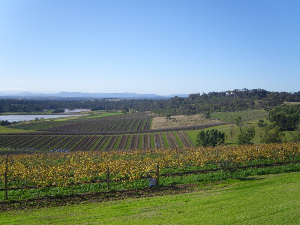 A weekend in Hunter Valley
