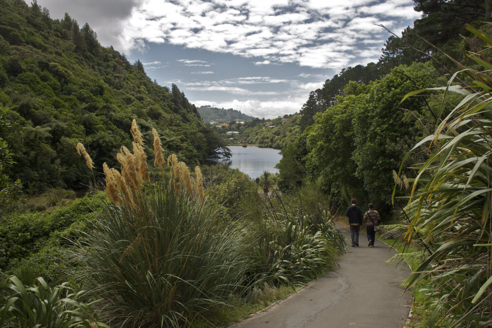 Zealandia: sanctuary to wildlife in Wellington