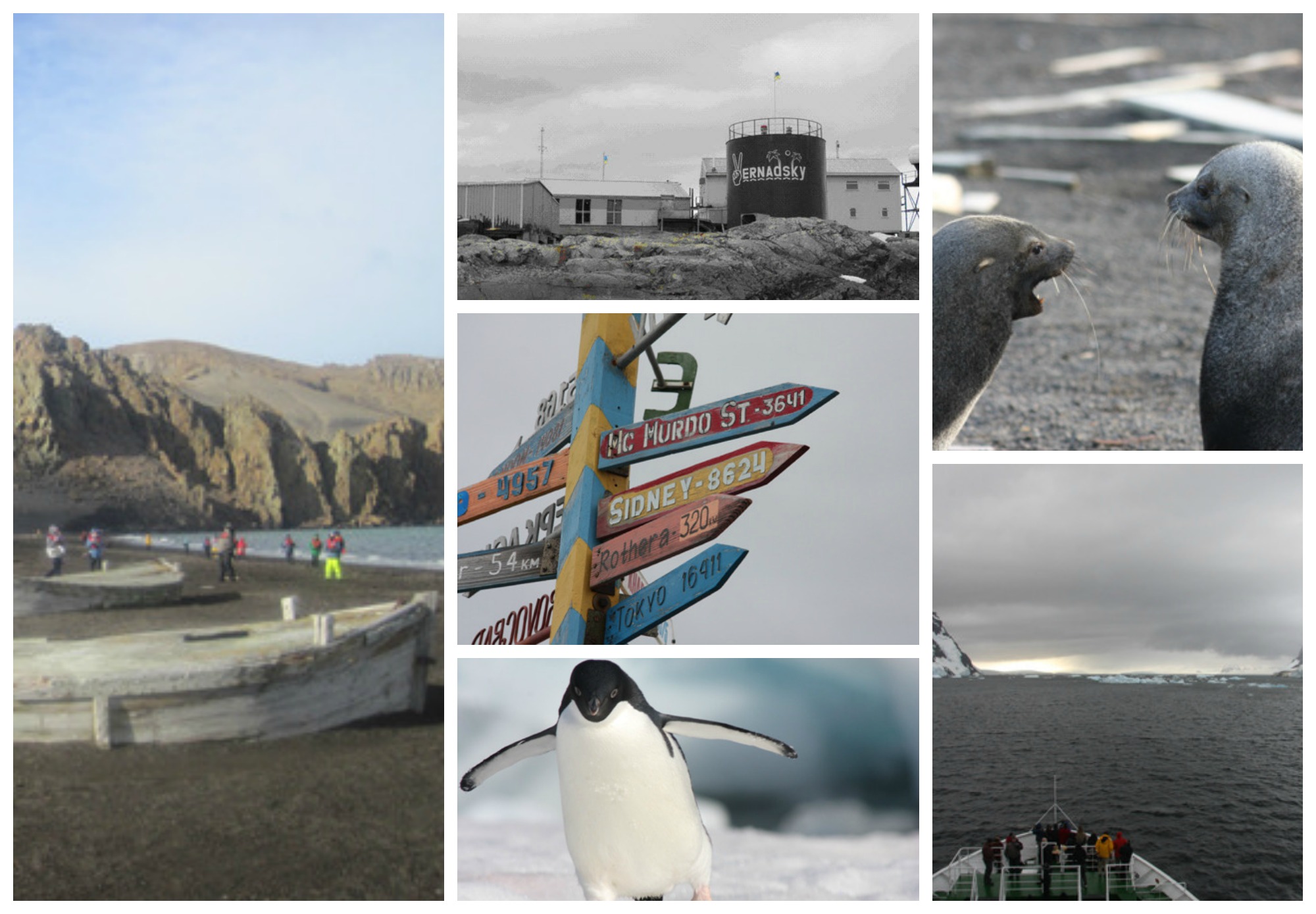 Photo Essay | Antarctica