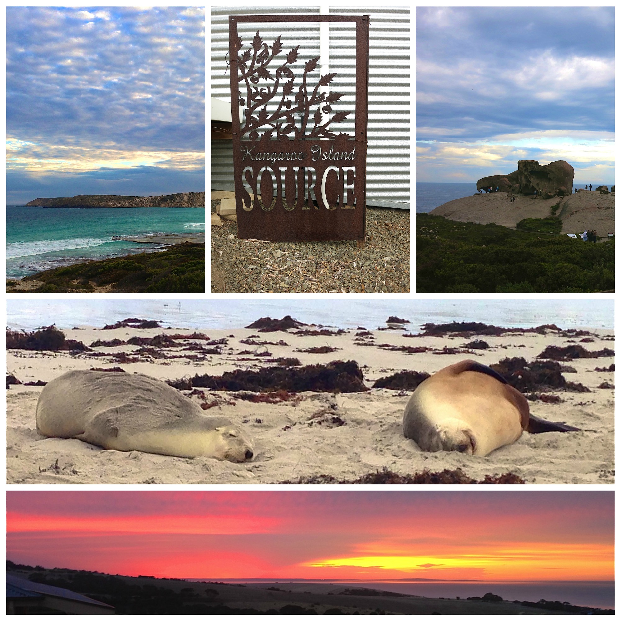 Photo Essay | Australia’s Kangaroo Island
