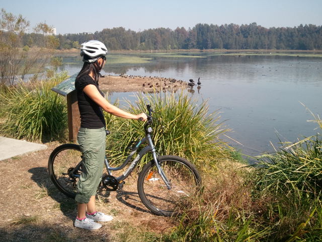 Cycling the Bicentennial Park Wetlands