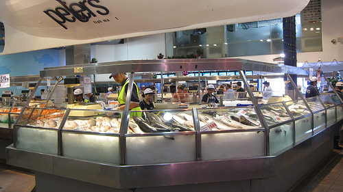 Lunching at the Sydney Fish Market