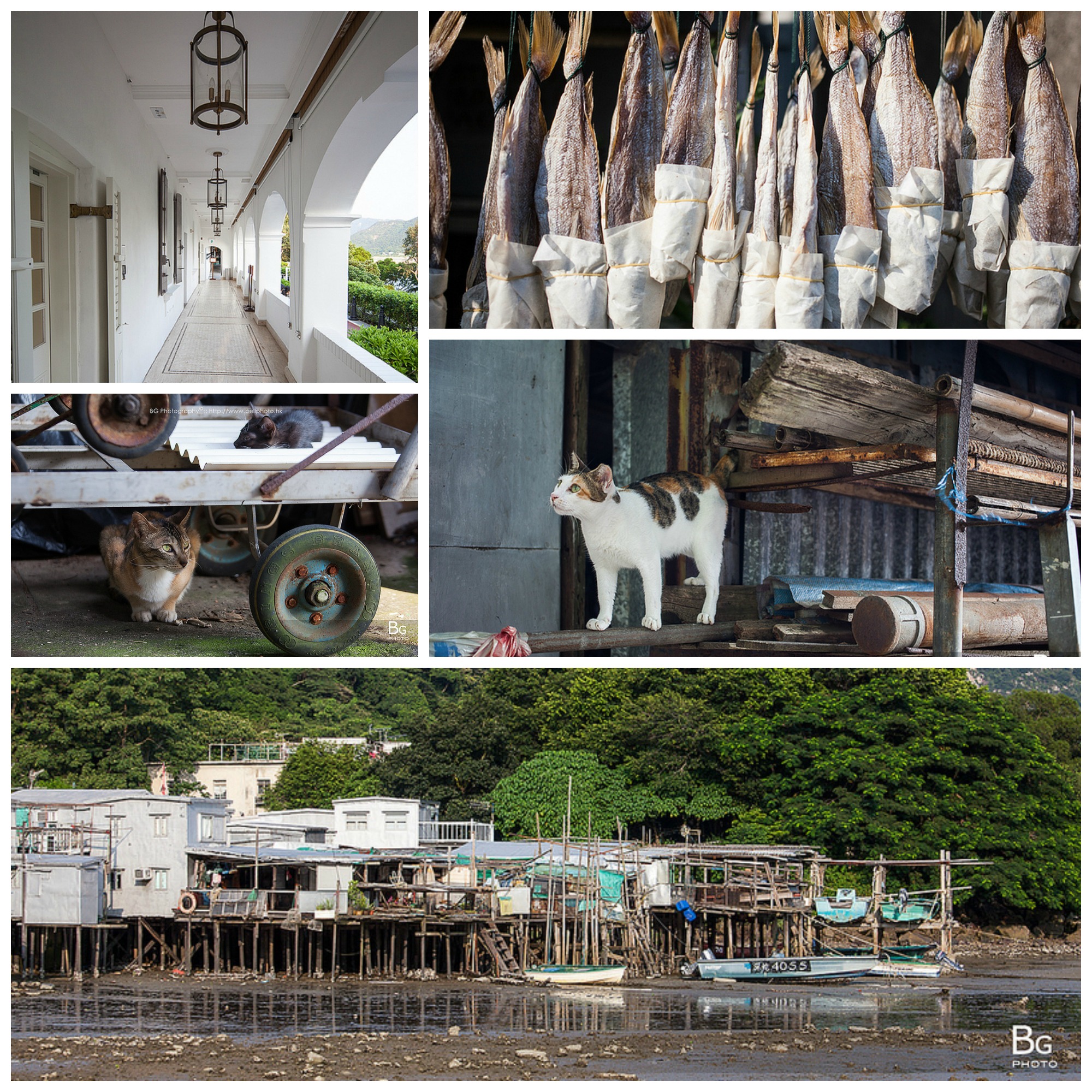 Photo Essay: Tai O, Hong Kong