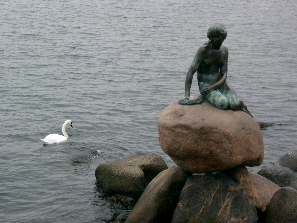 Memory Postcard: Looking for Mermaids