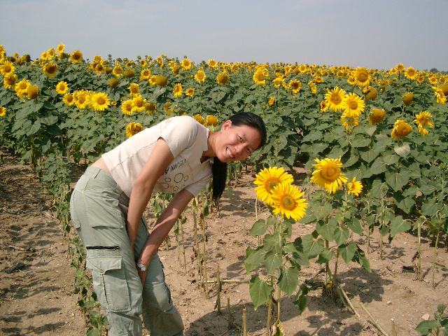 Memory Postcards: Happy Flowers!