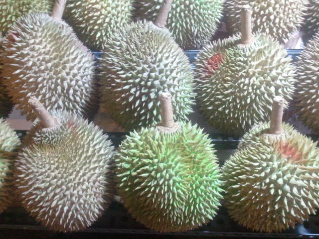 My first durian