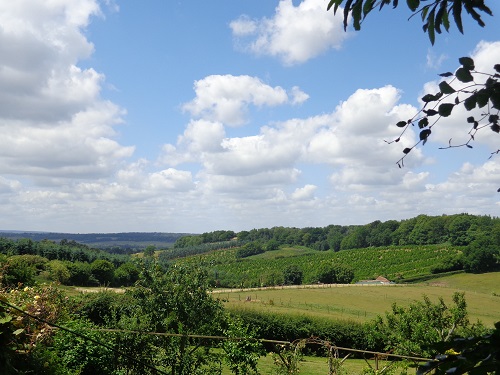 Surrey Hills Area of Outstanding Beauty