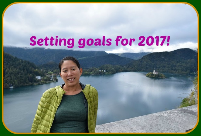 My new year goals for 2017