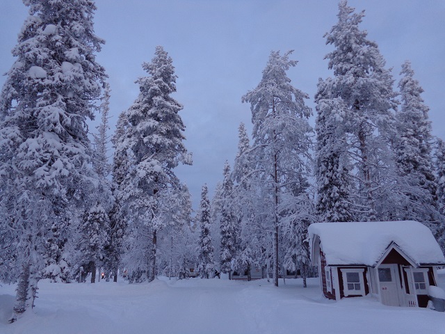 Frozen and happy in the Finnish Lapland