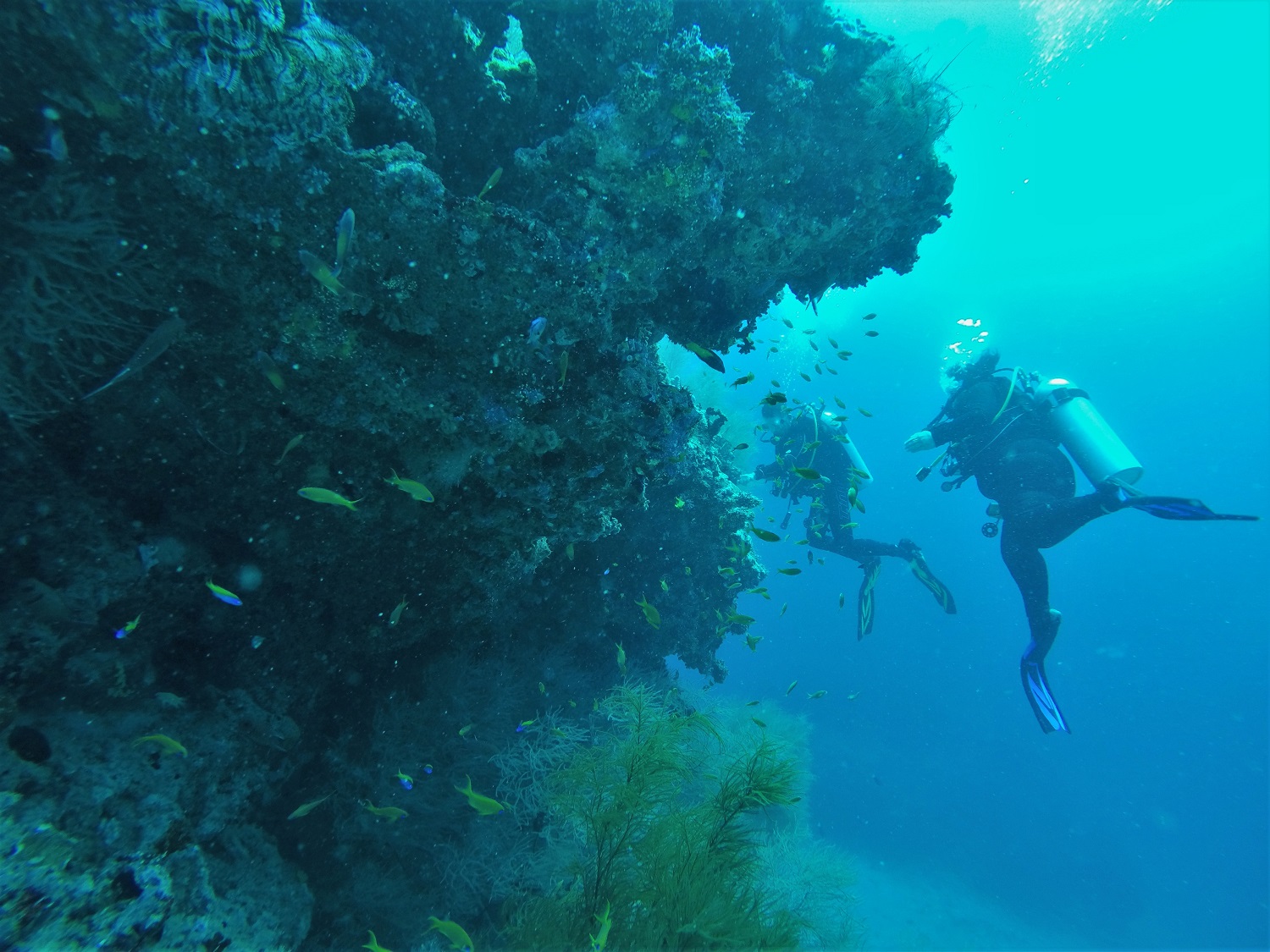 What is it like scuba diving in the Maldives?